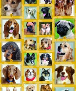 Stickers-ark med søde hunde i forskellige racer fra Funny Products.