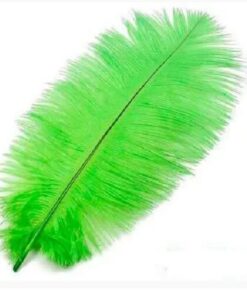 Strudsefjer limegrøn