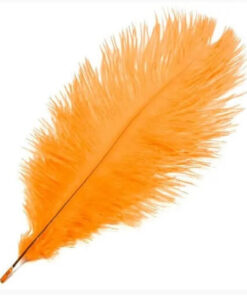 Strudsefjer orange