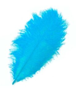 Strudsefjer turkis 20cm