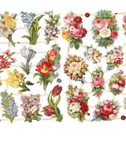 Glansbilleder med forårsblomster