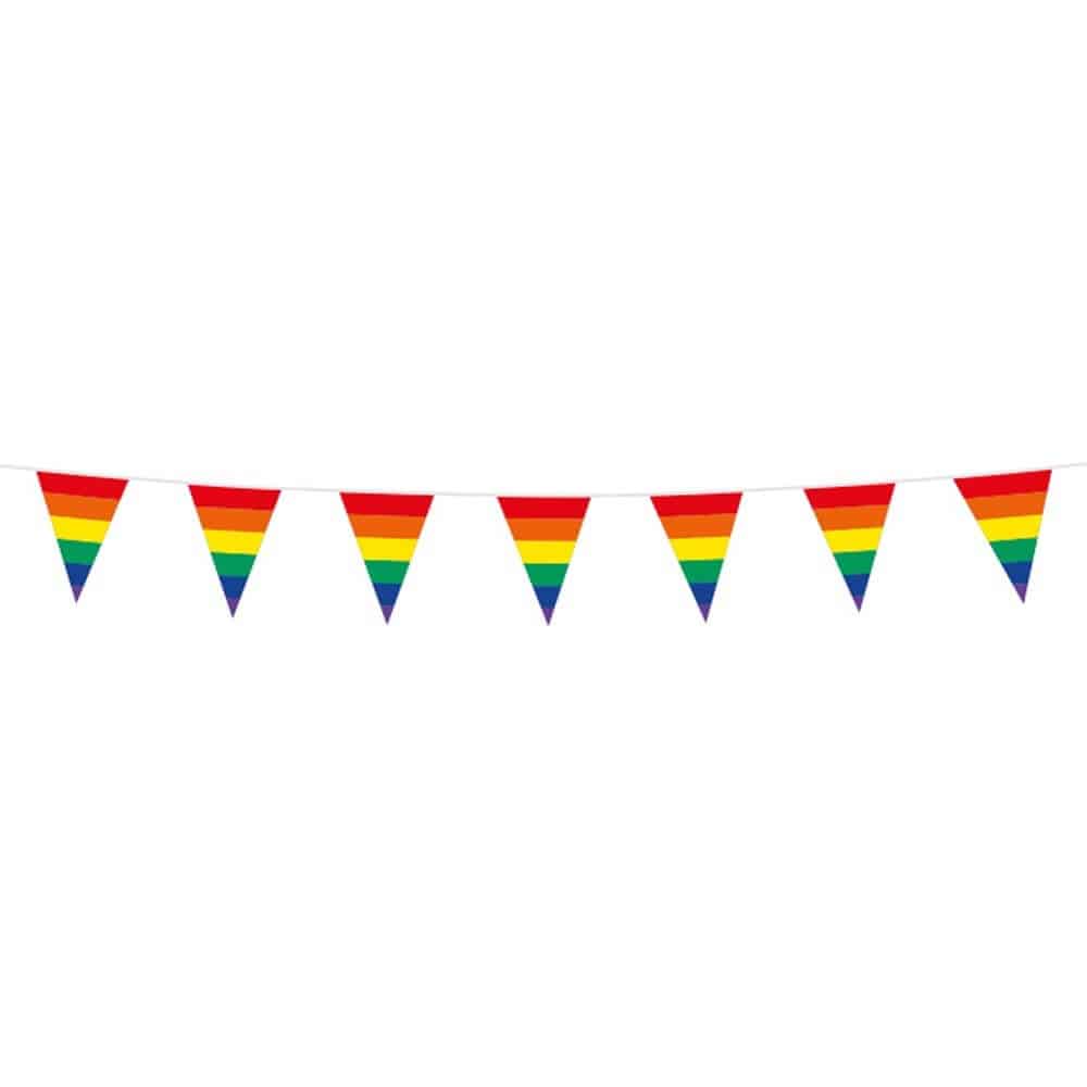 Regnbue vimpel flag guirlande mini 3m