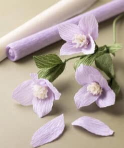 Crepepapir papirblomster DIY sæt