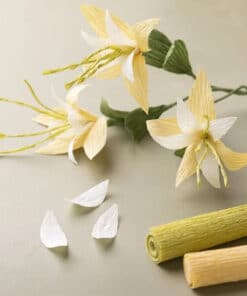 Crepepapir papirblomster DIY sæt