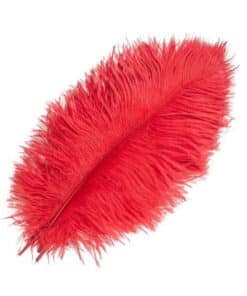 Strudsefjer røde 30-35cm 1stk