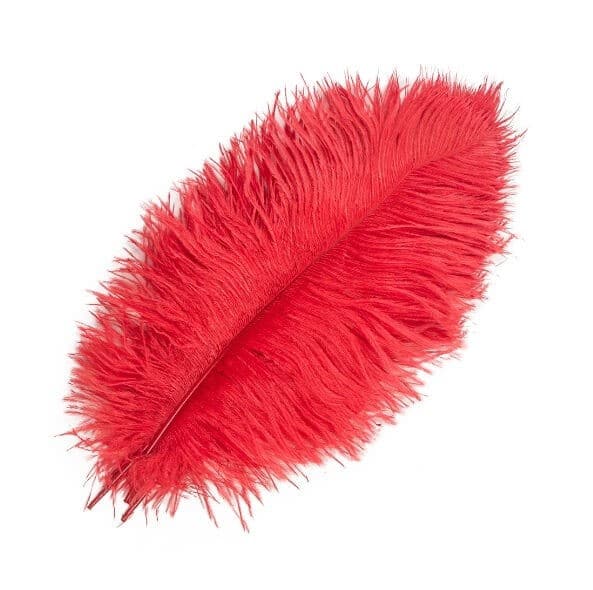 Strudsefjer røde 30-35cm 1stk