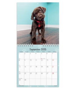 Mayland Vægkalender mini Hundehvalpe 2025