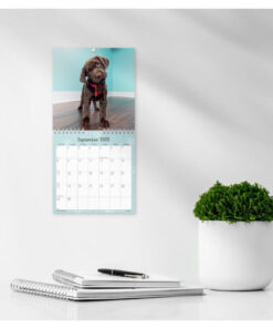 Mayland Vægkalender mini Hundehvalpe 2025