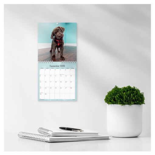 Mayland Vægkalender mini Hundehvalpe 2025