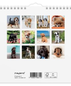 Mayland Vægkalender mini Hundehvalpe 2025