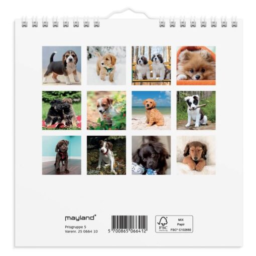 Mayland Vægkalender mini Hundehvalpe 2025