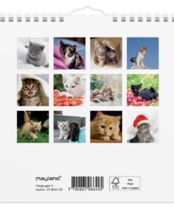 Mayland Vægkalender mini Kattekillinger 2025