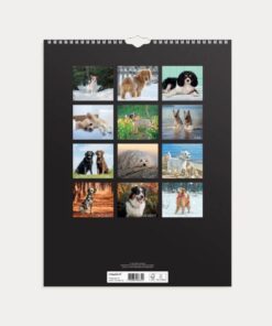 Mayland Vægkalender Hunde 2026 med sødt hundebillede på forsiden og spiralbinding.