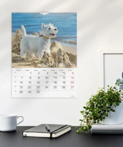 Mayland Vægkalender Hunde 2026 med sødt hundebillede på forsiden og spiralbinding.