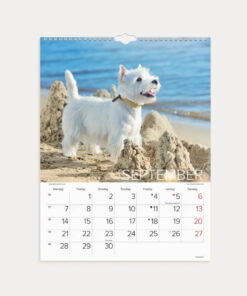 Mayland Vægkalender Hunde 2026 med sødt hundebillede på forsiden og spiralbinding.