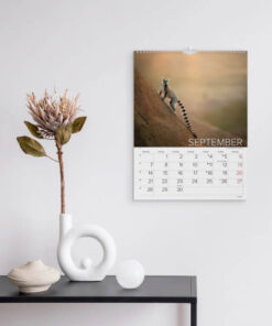 Mayland Vægkalender Verdens dyr 2026 med farverige dyrefotos og spiralbinding.