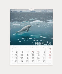 Mayland Vægkalender Verdens dyr 2026 med farverige dyrefotos og spiralbinding.