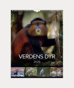 Mayland Vægkalender Verdens dyr 2026 med farverige dyrefotos og spiralbinding.