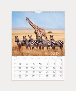 Mayland Vægkalender Verdens dyr 2026 med farverige dyrefotos og spiralbinding.