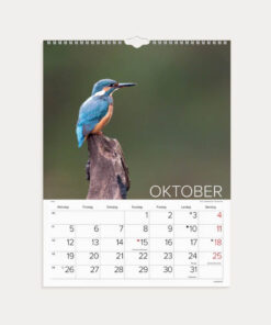 Mayland Vægkalender Verdens dyr 2026 med farverige dyrefotos og spiralbinding.