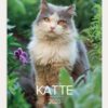 Mayland Vægkalender med Katte 2026 med spiralbinding og smukke kattefotos.