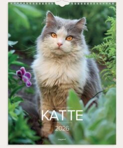 Mayland Vægkalender med Katte 2026 med spiralbinding og smukke kattefotos.