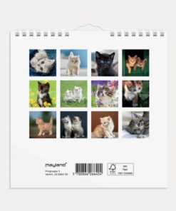 Vægkalender Mini Kattekillinger 2026 fra Mayland med søde kattekillinger og spiralbinding.