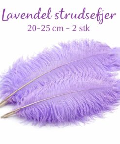 Lavendel strudsefjer 20-25 cm 2 stk på hvid baggrund til hobby, dekoration og kreative projekter