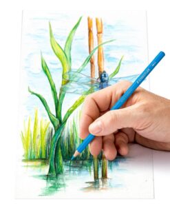 Staedtler akvarel farveblyanter i metalæske med 24 farver